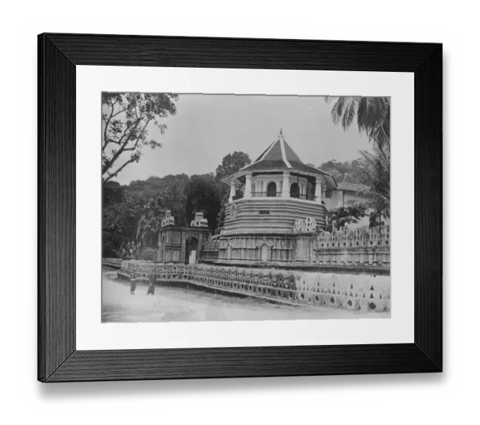 Framed Print : The visit of the Prince of Wales to Ceylon. Some of the wonders of the Island Framed Print : The visit of the Prince of Wales to Ceylon. Some of the wonders of the Island