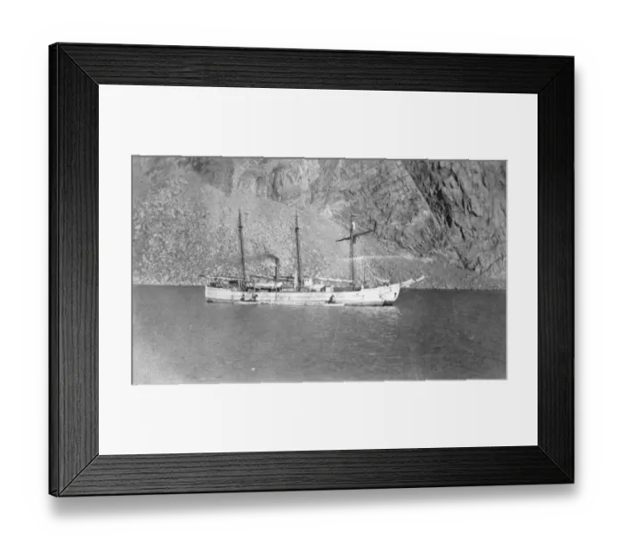Framed Print : The Arctics voyage to the Arctic. The Canadian Government ship, Arctic Framed Print : The Arctics voyage to the Arctic. The Canadian Government ship, Arctic