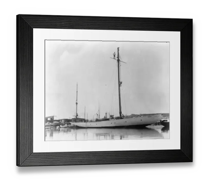 Framed Print : Sailor students stun spectators. A group of University of California students went Framed Print : Sailor students stun spectators. A group of University of California students went