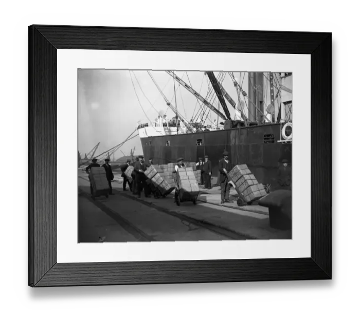 Framed Print : Unloading tea at Tilbury Docks from the SS Glenarra. 5 March 1924 Framed Print : Unloading tea at Tilbury Docks from the SS Glenarra. 5 March 1924