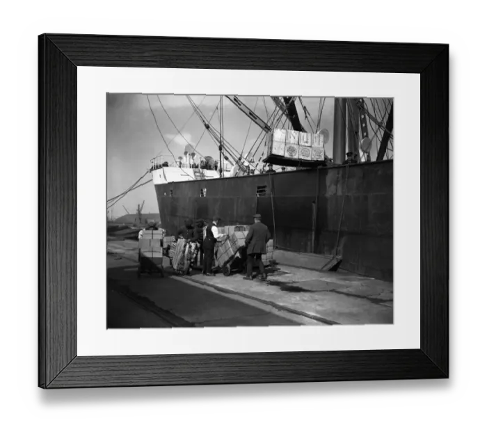 Framed Print : Unloading tea at Tilbury Docks from the SS Glenarra. 5 March 1924 Framed Print : Unloading tea at Tilbury Docks from the SS Glenarra. 5 March 1924