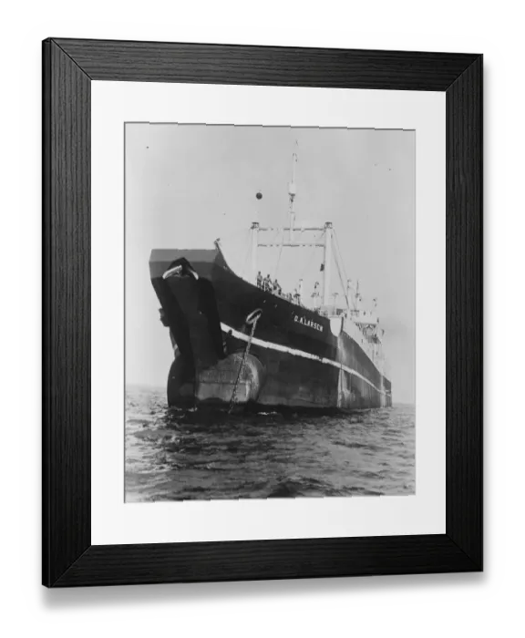 Framed Print : Largest ship of new design. The largest and quaintest whaling ship ever built Framed Print : Largest ship of new design. The largest and quaintest whaling ship ever built
