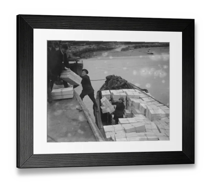 Framed Print : The flower harvest in the Scilly Islands. Loading the flowers into boats at Tresco Framed Print : The flower harvest in the Scilly Islands. Loading the flowers into boats at Tresco