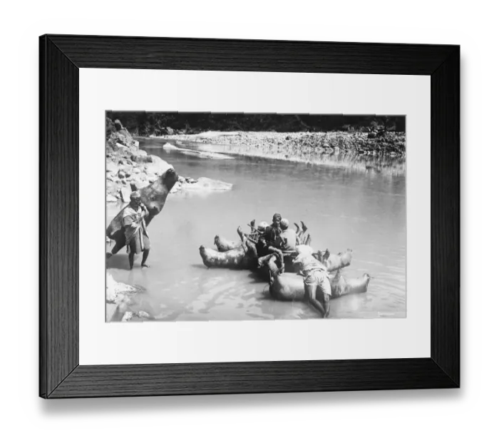 Framed Print : Where every bullock becomes a boat. An interesting picture from Kashmir, showing Framed Print : Where every bullock becomes a boat. An interesting picture from Kashmir, showing
