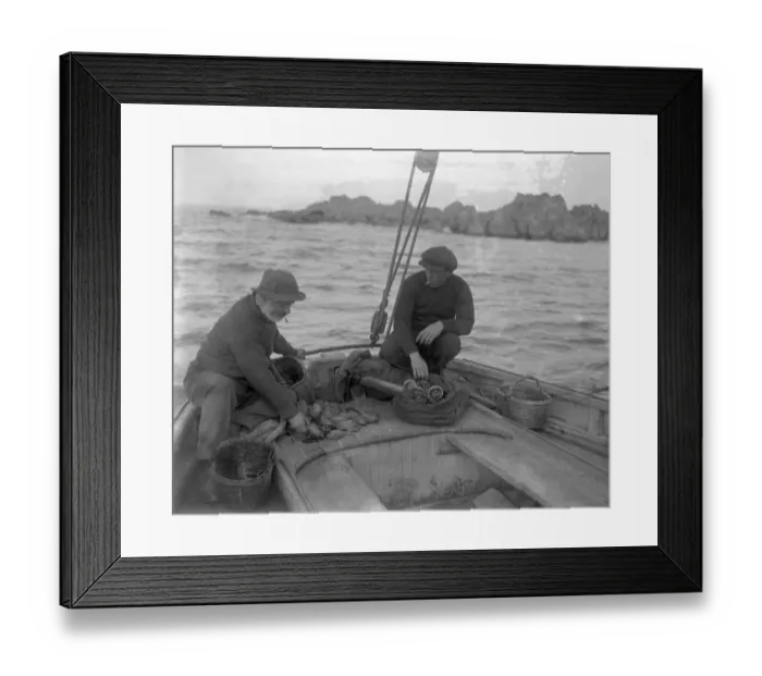 Framed Print : Ormering in the Channel Islands. Fishermen fishing for abalone or ormers. Counting their catch Framed Print : Ormering in the Channel Islands. Fishermen fishing for abalone or ormers. Counting their catch