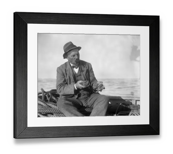 Framed Print : A Channel Islander inspecting his catch of ormers or abalone after a day out collecting them Framed Print : A Channel Islander inspecting his catch of ormers or abalone after a day out collecting them