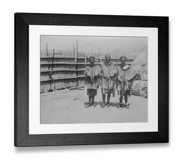 Framed Print : King Sobhusa coming to London. King Sobhusa, the Paramount Chief of the Swazi nation Framed Print : King Sobhusa coming to London. King Sobhusa, the Paramount Chief of the Swazi nation