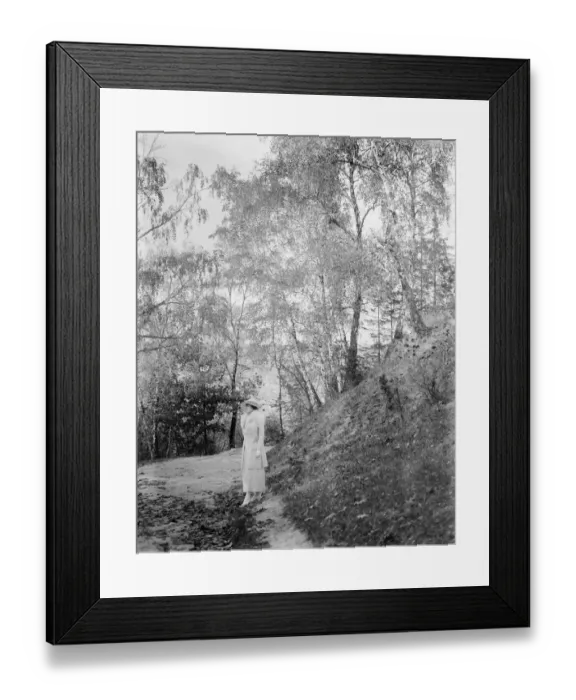 Framed Print : No Text Framed Print : No Text
