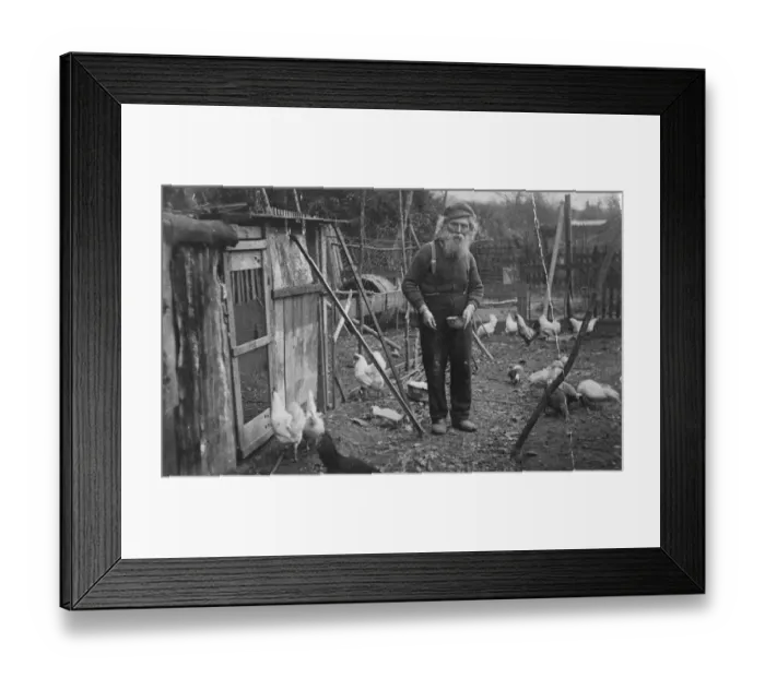 Framed Print : Lemons For Longevity French Crimean Veteran 103 Years Old Jacob du Bray a French Framed Print : Lemons For Longevity French Crimean Veteran 103 Years Old Jacob du Bray a French