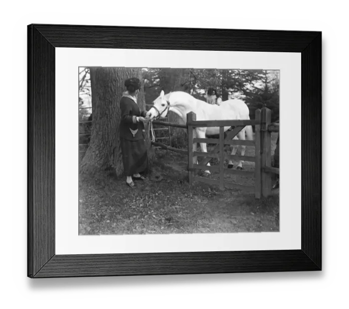 Framed Print : Lady Wentworths Arab Thouroughbreds Lady Wentworth visiting her magnificent Arab Framed Print : Lady Wentworths Arab Thouroughbreds Lady Wentworth visiting her magnificent Arab