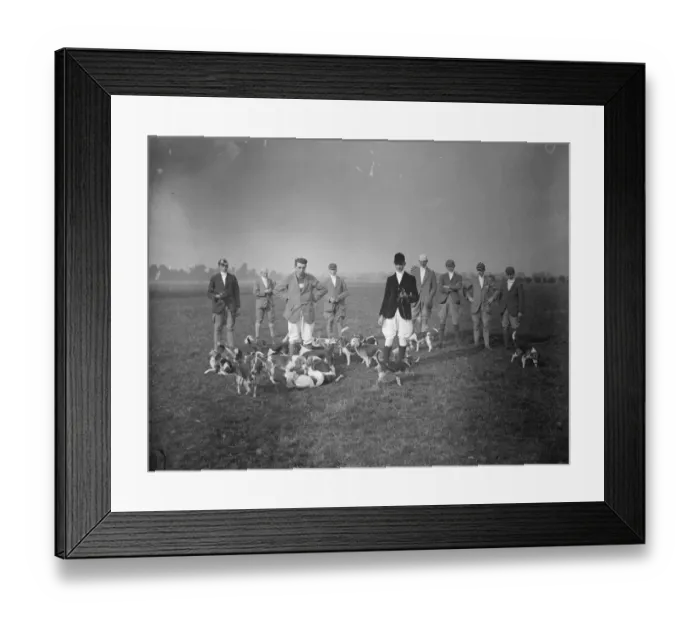Framed Print : Eton beagles meet. The Eton College Beagles held their opening meet at the Pumping Framed Print : Eton beagles meet. The Eton College Beagles held their opening meet at the Pumping