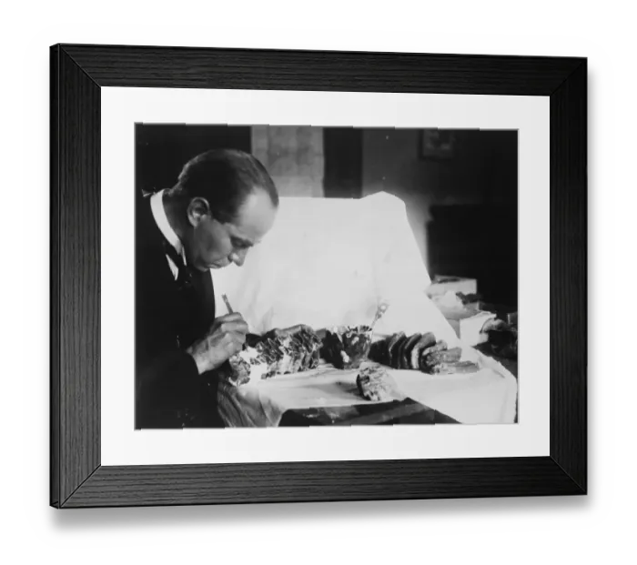 Framed Print : The teeth of a 10, 000 year old mammoth. Professor R A Sart, the discoverer of