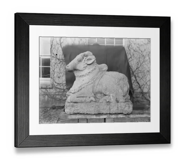 Framed Print : Wonderful relics for the national collection The British museum have acquired from Mr A Bullard Framed Print : Wonderful relics for the national collection The British museum have acquired from Mr A Bullard