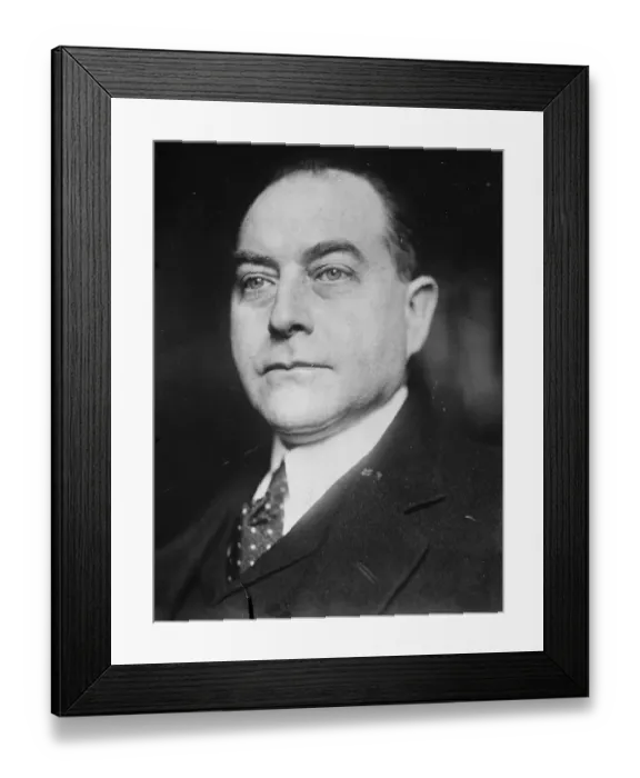 Framed Print : New portrait of Herr Stresmanns successor. Dr Julius Curtius, former Minister of Economics Framed Print : New portrait of Herr Stresmanns successor. Dr Julius Curtius, former Minister of Economics