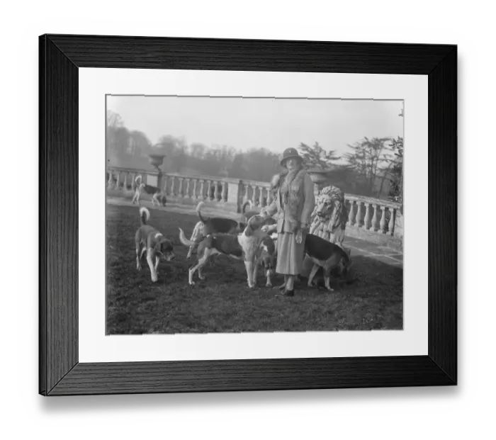 Framed Print : Meet of the Hertfordshire Hunt at Brocket Hall. Lady Nall Cain with the hounds Framed Print : Meet of the Hertfordshire Hunt at Brocket Hall. Lady Nall Cain with the hounds