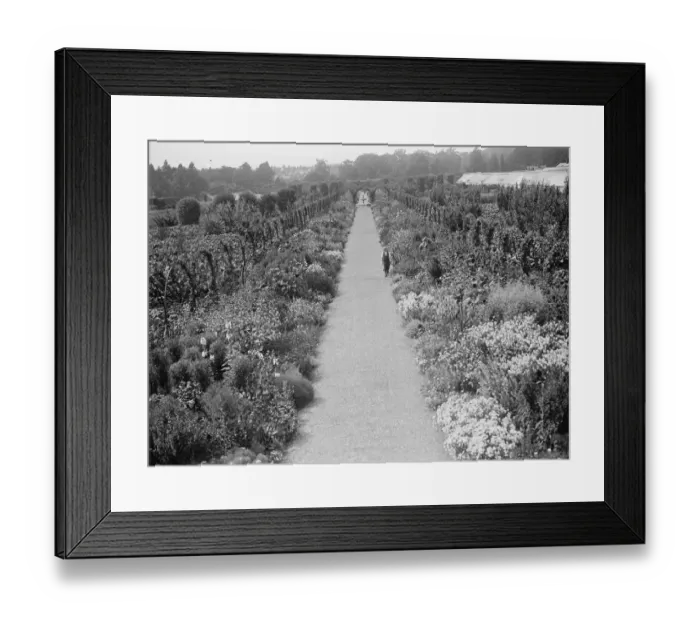 Framed Print : Sandringham gardens, Norfolk 22 August 1929