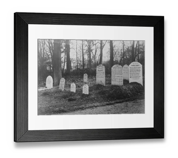 Framed Print : Sir Philip Sassoons Camlet Moat romance. Sir Philip Sassoon of Trent Park, New Barnet Framed Print : Sir Philip Sassoons Camlet Moat romance. Sir Philip Sassoon of Trent Park, New Barnet
