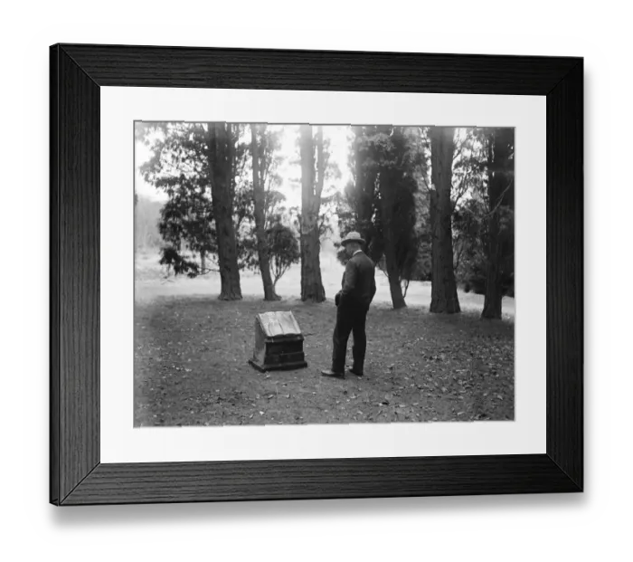 Framed Print : World famous gardens of Ashridge House to be opened to the public. 26 March 1929