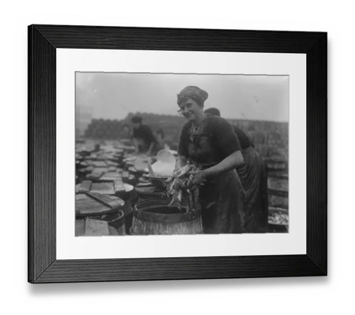 Framed Print : Herring harvest at Lowestoft Scotch fisher girls gutting and packing the fish Framed Print : Herring harvest at Lowestoft Scotch fisher girls gutting and packing the fish