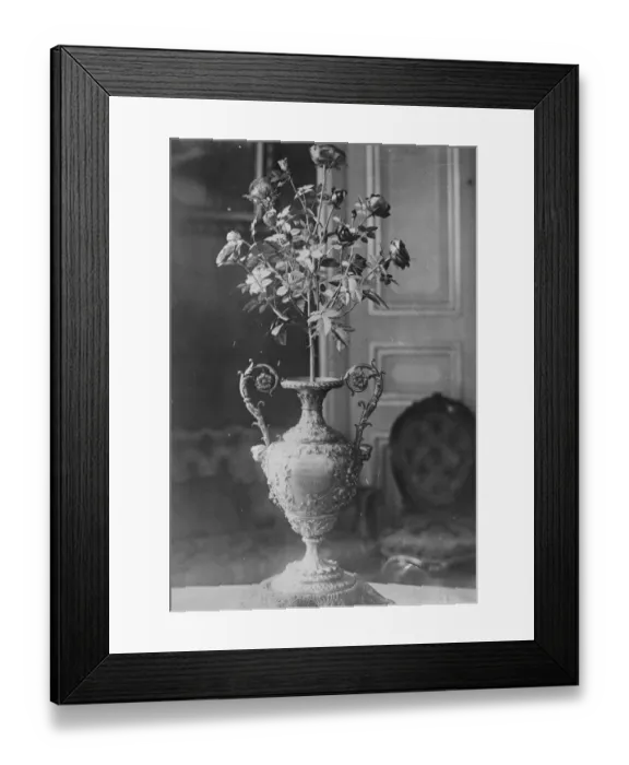 Framed Print : Queen of the Belgians, Popes gift of Golden Rose The ceremony of presenting Framed Print : Queen of the Belgians, Popes gift of Golden Rose The ceremony of presenting