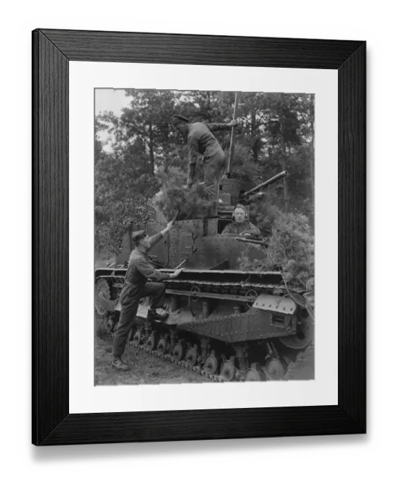 Framed Print : Military operations at Aldershot. Members of the Tank Corps camouflaging their tanks Framed Print : Military operations at Aldershot. Members of the Tank Corps camouflaging their tanks