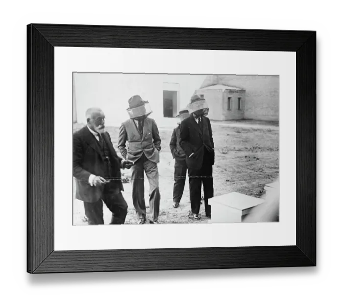 Framed Print : A Royal bee keeper. The King of Spain visiting an installation of bee hives Framed Print : A Royal bee keeper. The King of Spain visiting an installation of bee hives