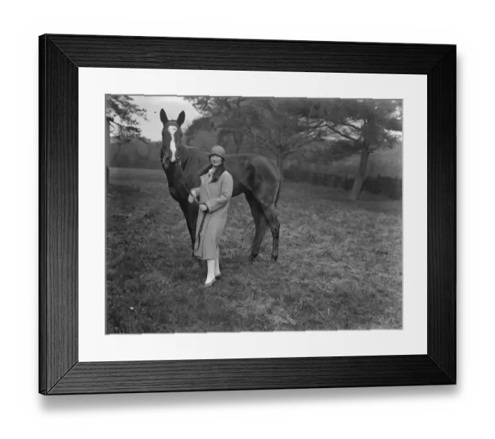 Framed Print : Mrs Cohen, wife of Major J B Brunel Cohen, MP, buys the racehorse Hideaway Framed Print : Mrs Cohen, wife of Major J B Brunel Cohen, MP, buys the racehorse Hideaway