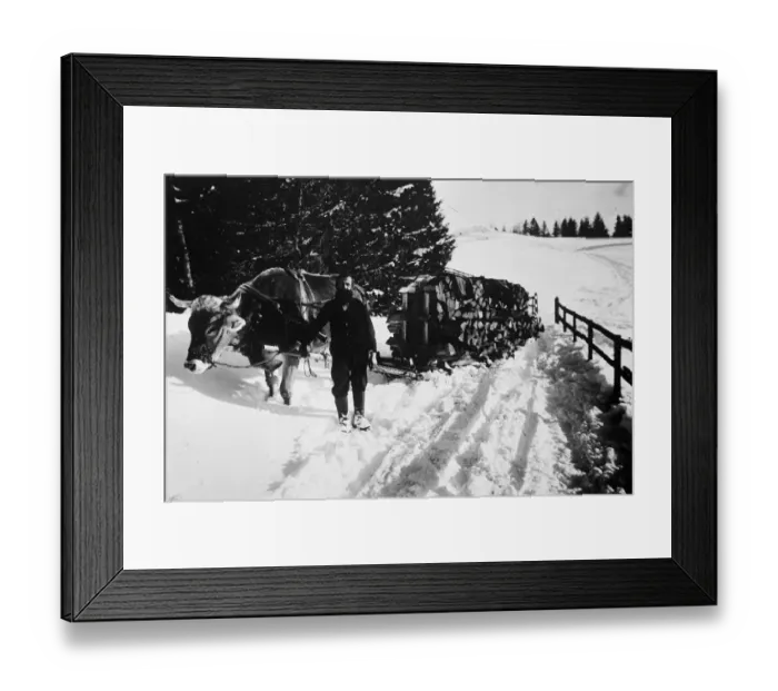 Framed Print : Making the best of it. Prince Alexei Koulomsin, one of the many aristocratic Russian