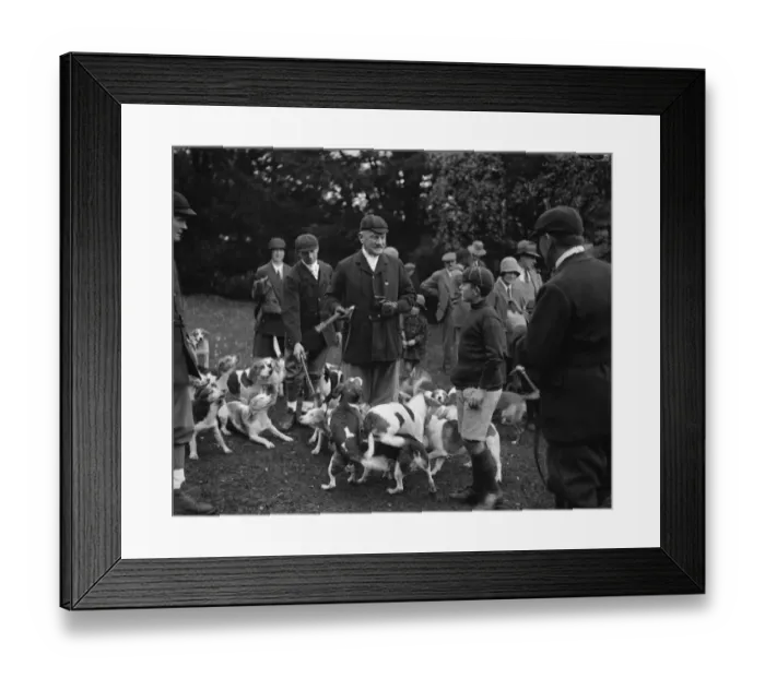 Framed Print : Lord Cornwallis with the Linton Beagles. 27 October 1928 Framed Print : Lord Cornwallis with the Linton Beagles. 27 October 1928