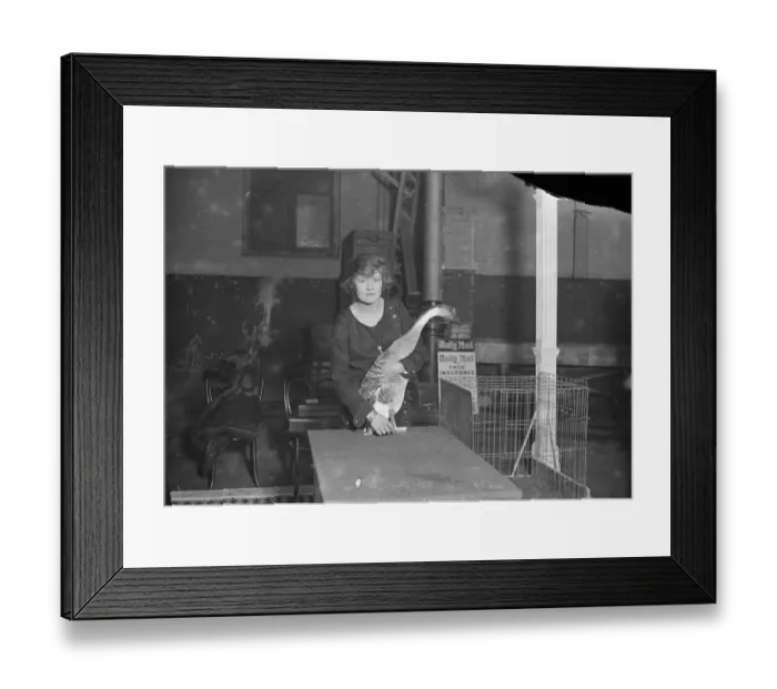 Framed Print : Mrs A R Cunliffe Owen with one of her Chinese ducks at the international poultry Framed Print : Mrs A R Cunliffe Owen with one of her Chinese ducks at the international poultry