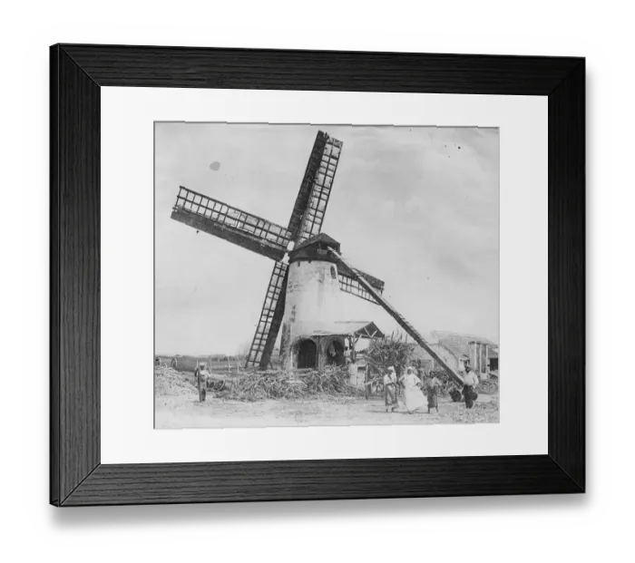 Framed Print : Suger Mill in Barbados 25 March 1920 Framed Print : Suger Mill in Barbados 25 March 1920