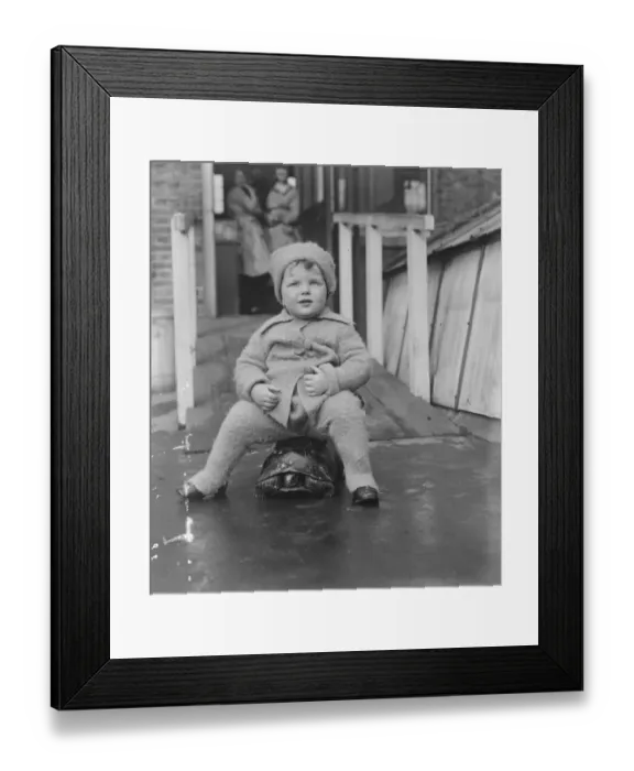 Framed Print : Live toys at Derry and Toms 23 November 1920