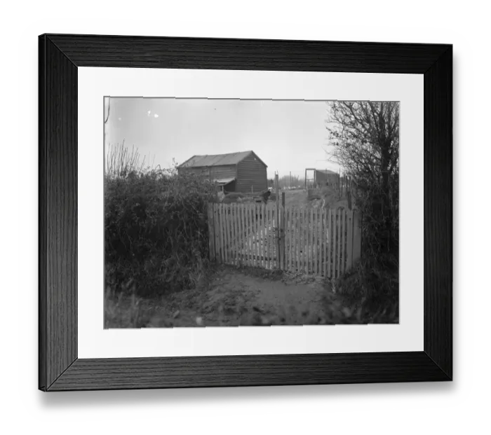 Framed Print : The Elsie Cameron mystery. A view of Norman Thorns poultry farm at Blackness Framed Print : The Elsie Cameron mystery. A view of Norman Thorns poultry farm at Blackness