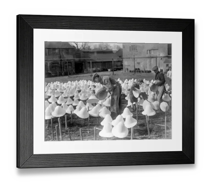 Framed Print : Panama Hat making at Messrs I. Cambis at Boreham Wood, Elstree. 31 March 1922 Framed Print : Panama Hat making at Messrs I. Cambis at Boreham Wood, Elstree. 31 March 1922