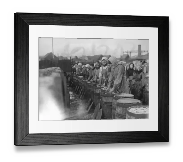 Framed Print : Herring harvest at Lowestoft Scotch fisher girls gutting and packing the fish Framed Print : Herring harvest at Lowestoft Scotch fisher girls gutting and packing the fish