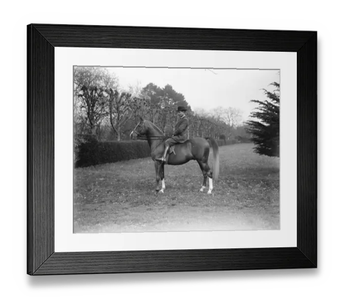 Framed Print : Lady Wentworths Arab Thouroughbreds Crabbet Park Stud, a horse breeding farm Framed Print : Lady Wentworths Arab Thouroughbreds Crabbet Park Stud, a horse breeding farm