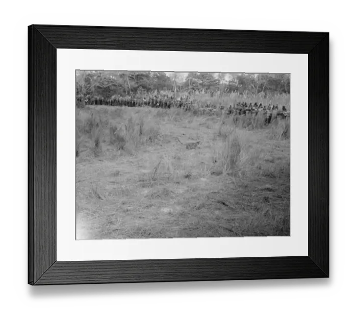 Framed Print : The Bikaner Camel Corps India Tigers on the sun 1921 Framed Print : The Bikaner Camel Corps India Tigers on the sun 1921