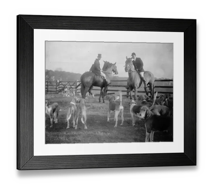 Framed Print : Duke of York at Belvoir Hunt meet at Croxton Park. 23 November 1921 Framed Print : Duke of York at Belvoir Hunt meet at Croxton Park. 23 November 1921