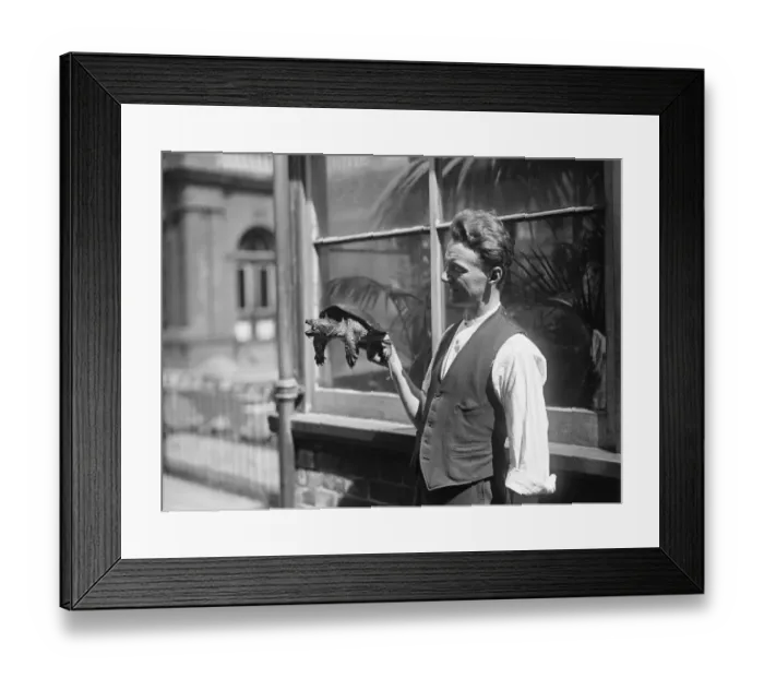 Framed Print : A new model Dutch garden, where the tortoises promenade at the zoo. Another new Framed Print : A new model Dutch garden, where the tortoises promenade at the zoo. Another new