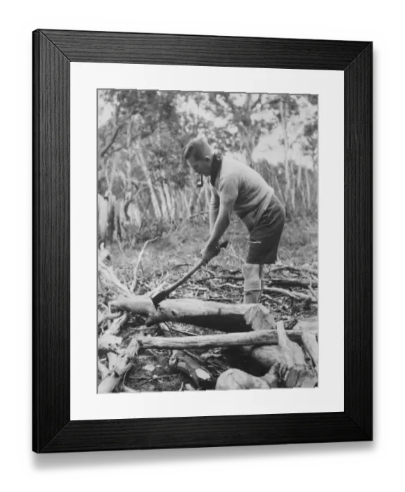 Framed Print : Lord Somers as axeman. On his 10 days hike with boy scouts through out back Victoria Framed Print : Lord Somers as axeman. On his 10 days hike with boy scouts through out back Victoria