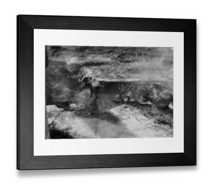 Framed Print : Duke and Duchess of Yorks visit to volcanic region of New Zealand. Maoris boil Framed Print : Duke and Duchess of Yorks visit to volcanic region of New Zealand. Maoris boil