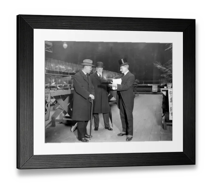 Framed Print : Prince Taka-Tsukase, cousin of the Prince Regent of Japan, choosing a canary Framed Print : Prince Taka-Tsukase, cousin of the Prince Regent of Japan, choosing a canary