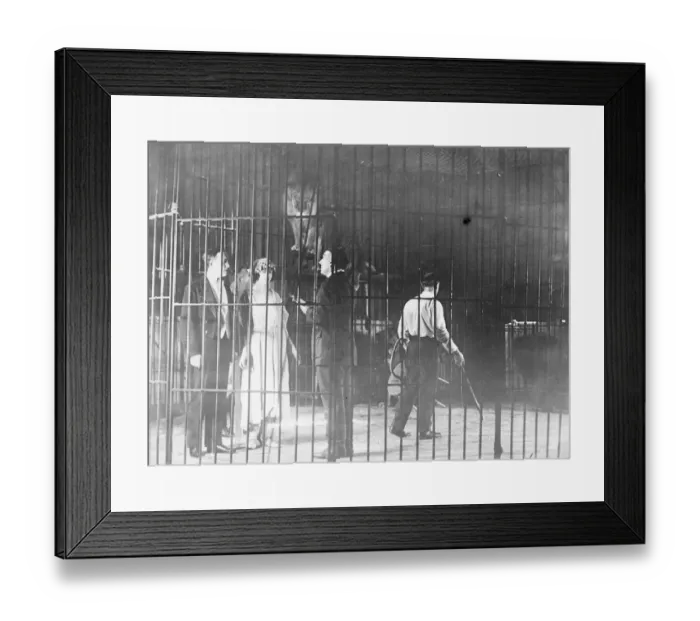 Framed Print : Wedded among the Lions This photograph just received from New York shows Miss Mae Stoller Framed Print : Wedded among the Lions This photograph just received from New York shows Miss Mae Stoller