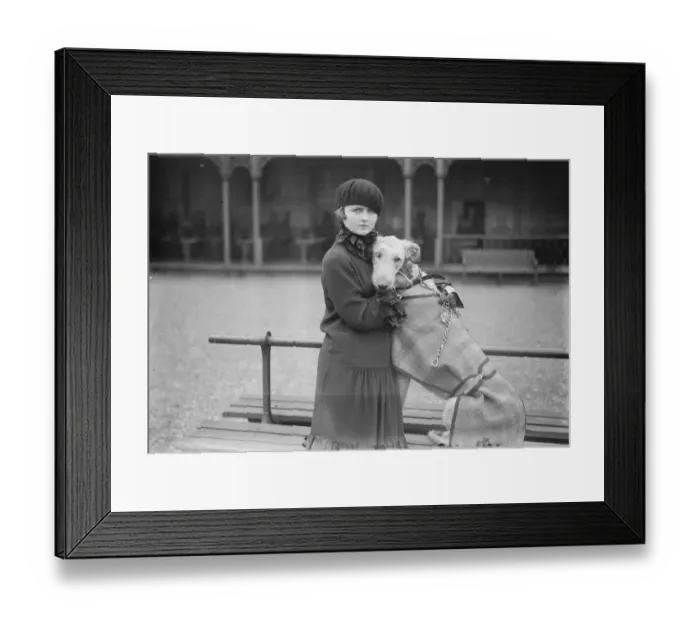Framed Print : Kennel club show. Miss Joan Southey with her exhibit. 29 September 1926 Framed Print : Kennel club show. Miss Joan Southey with her exhibit. 29 September 1926