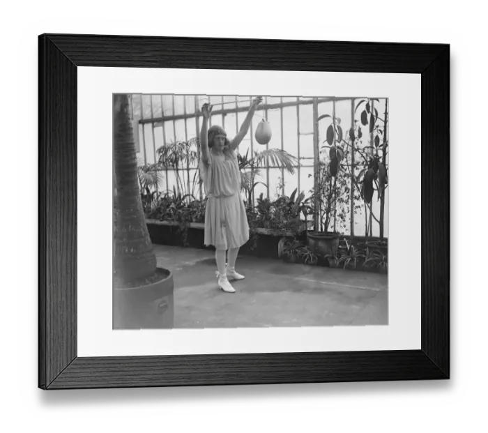 Framed Print : Society Childrens Garden Party at the Royal Botanic Gardens Lady Jean Ramsey ( Jester Framed Print : Society Childrens Garden Party at the Royal Botanic Gardens Lady Jean Ramsey ( Jester