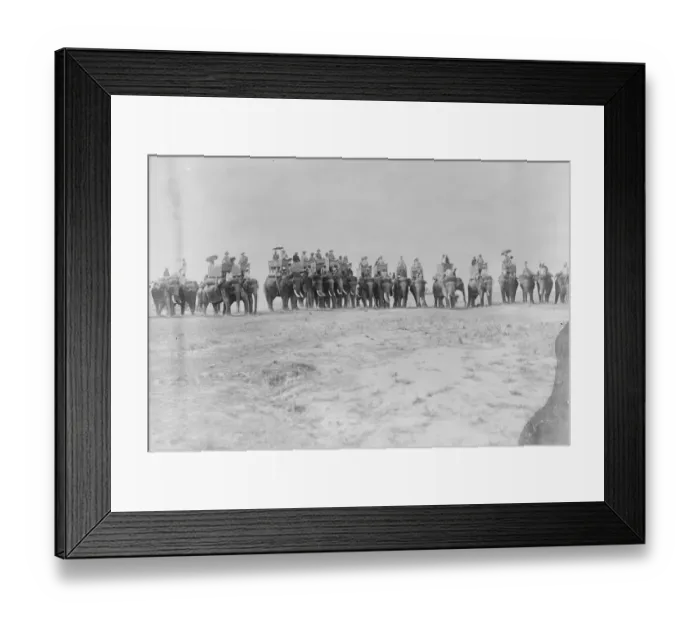 Framed Print : Line of Shooting Elephants Prime Minister of Nepal in sixth howdah from left 12 Framed Print : Line of Shooting Elephants Prime Minister of Nepal in sixth howdah from left 12