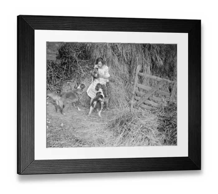 Framed Print : Miss Edna Maude, the seventeen year old dancer on holiday with her dogs. 1920s Framed Print : Miss Edna Maude, the seventeen year old dancer on holiday with her dogs. 1920s