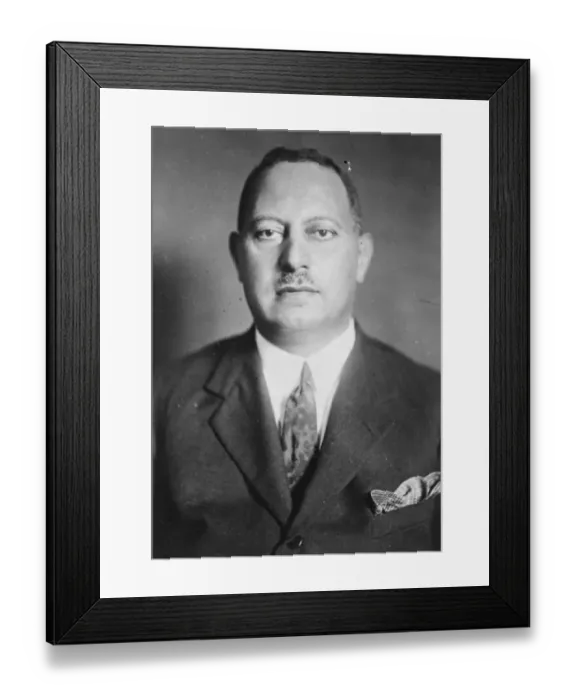 Framed Print : Sadek Henein Pasha, Egyptian Minister in Rome, who has been relieved of his post Framed Print : Sadek Henein Pasha, Egyptian Minister in Rome, who has been relieved of his post
