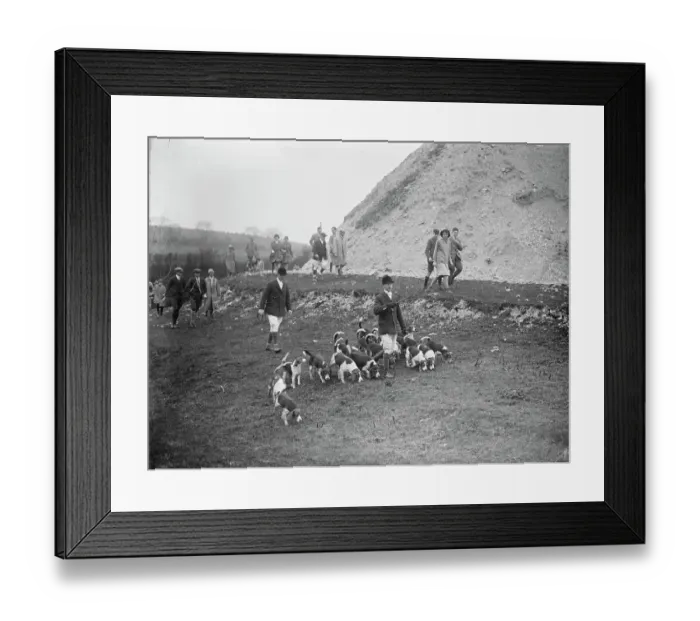 Framed Print : Brighton foot beagles meet at Rockrose, Clayton Hill. Moving of amongst the chalk pits Framed Print : Brighton foot beagles meet at Rockrose, Clayton Hill. Moving of amongst the chalk pits