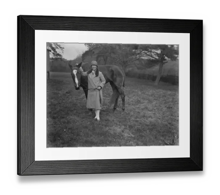 Framed Print : MPs wife buys racehorse. Mrs Cohen, wife of Major J B Brunel Cohen, MP, is Framed Print : MPs wife buys racehorse. Mrs Cohen, wife of Major J B Brunel Cohen, MP, is